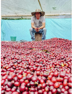Fathers Coffee Columbia Inza 250 g 2