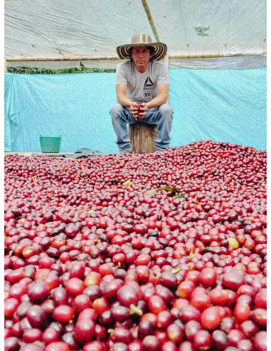 Cafea Fathers Columbia Inza 300g