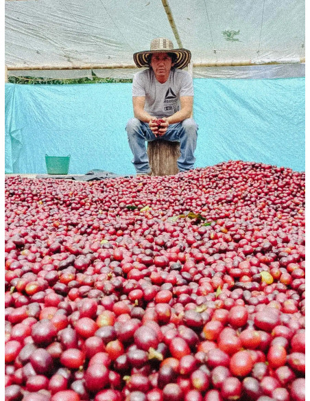 Cafea Fathers Columbia Inza 300g