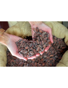 Ciocolată cu lapte Bonnat Noisettes 55% cu alune 2