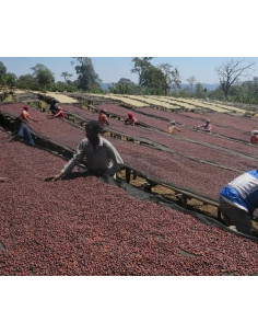 Cafea Francin Kenya Ndundu 250 g 2