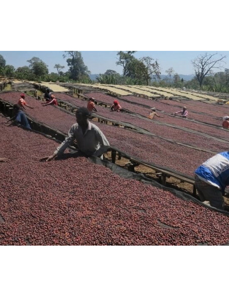 Cafea Francin Kenya Ndundu 250 g