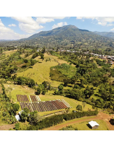 Nordbeans Keramo Natural Etiopia 250g