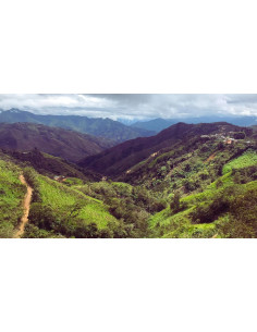 GourmetCoffee Specialitate Peru Huabal 250g 2