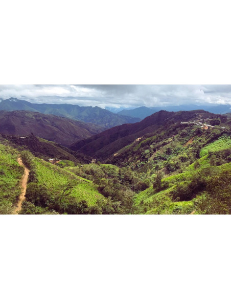 GourmetCoffee Specialitate Peru Huabal 250g