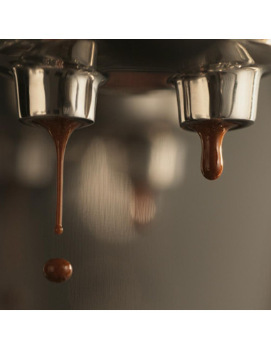Espressor cu portafiltru SAGE THE BAMBINO™ PLUS SES500BTR