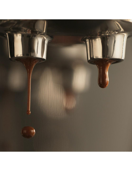 Espressor cu portafiltru SAGE THE BAMBINO™ PLUS SES500BTR