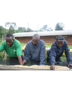 GourmetCoffee Specialitate Burundi Yandaro 250g 2
