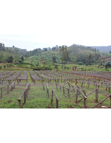 GourmetCoffee Specialitate Burundi Yandaro 250g