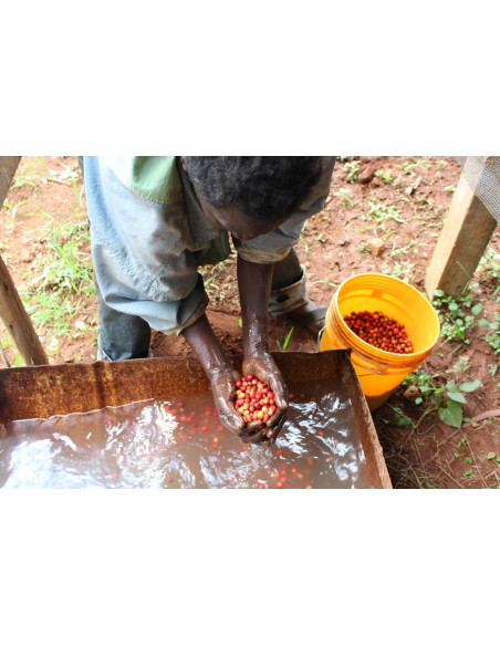 GourmetCoffee Specialitate Burundi Yandaro 250g