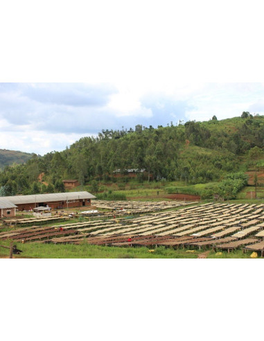 GourmetCoffee Specialitate Burundi Yandaro 250g