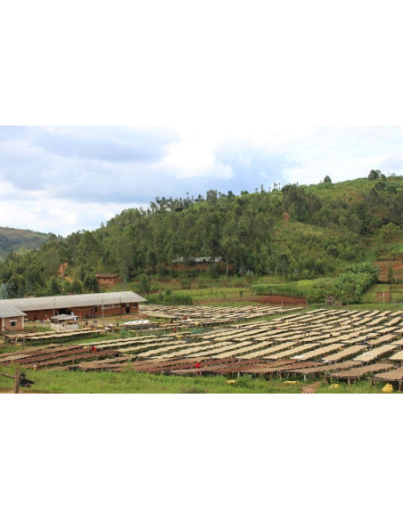 GourmetCoffee Specialitate Burundi Yandaro 250g