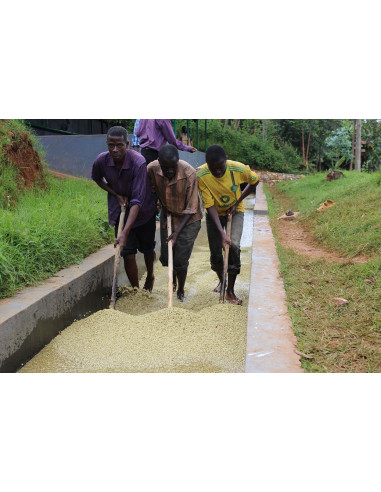 GourmetCoffee Specialitate Burundi Yandaro 250g