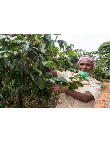 GourmetCoffee Specialitate - Kenya Nyeri 250g