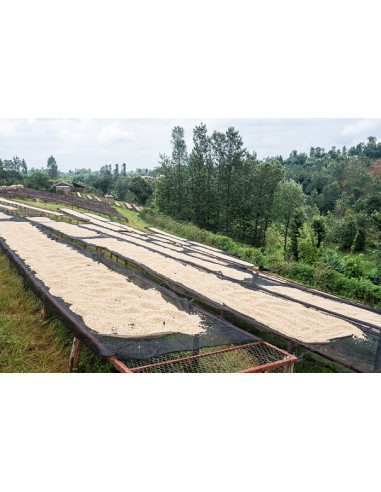 GourmetCoffee Specialitate - Kenya Nyeri 250g