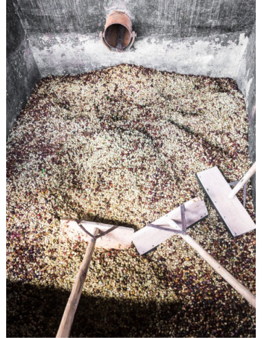 GourmetKáva Specialty - Kenya Kiri 250 g