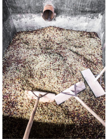 GourmetKáva Specialty - Kenya Kiri 250 g