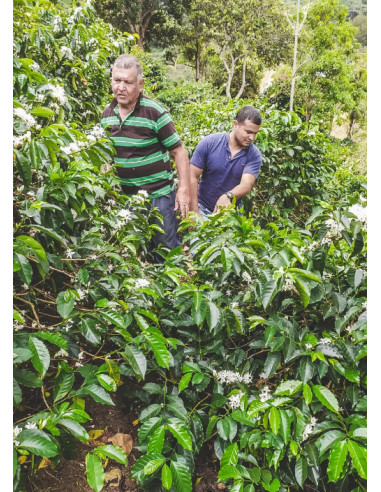 Kafe Francin Columbia Finca La Providencia De Jeshua 250 g