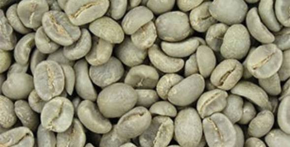 Cafeaua verde - cafea pentru pierderea în greutate și prevenire