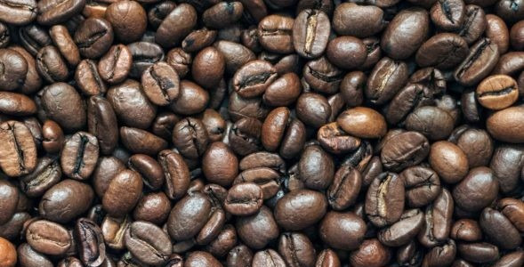 Tipuri de arbori de cafea și producția de cafea